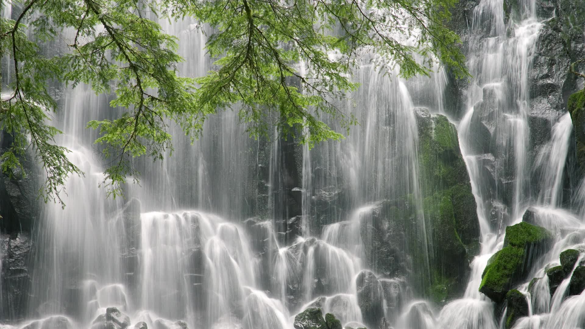 世界游泳接力技术统计平台数据共享与许可协议第二轮发布，游泳接力赛冠军